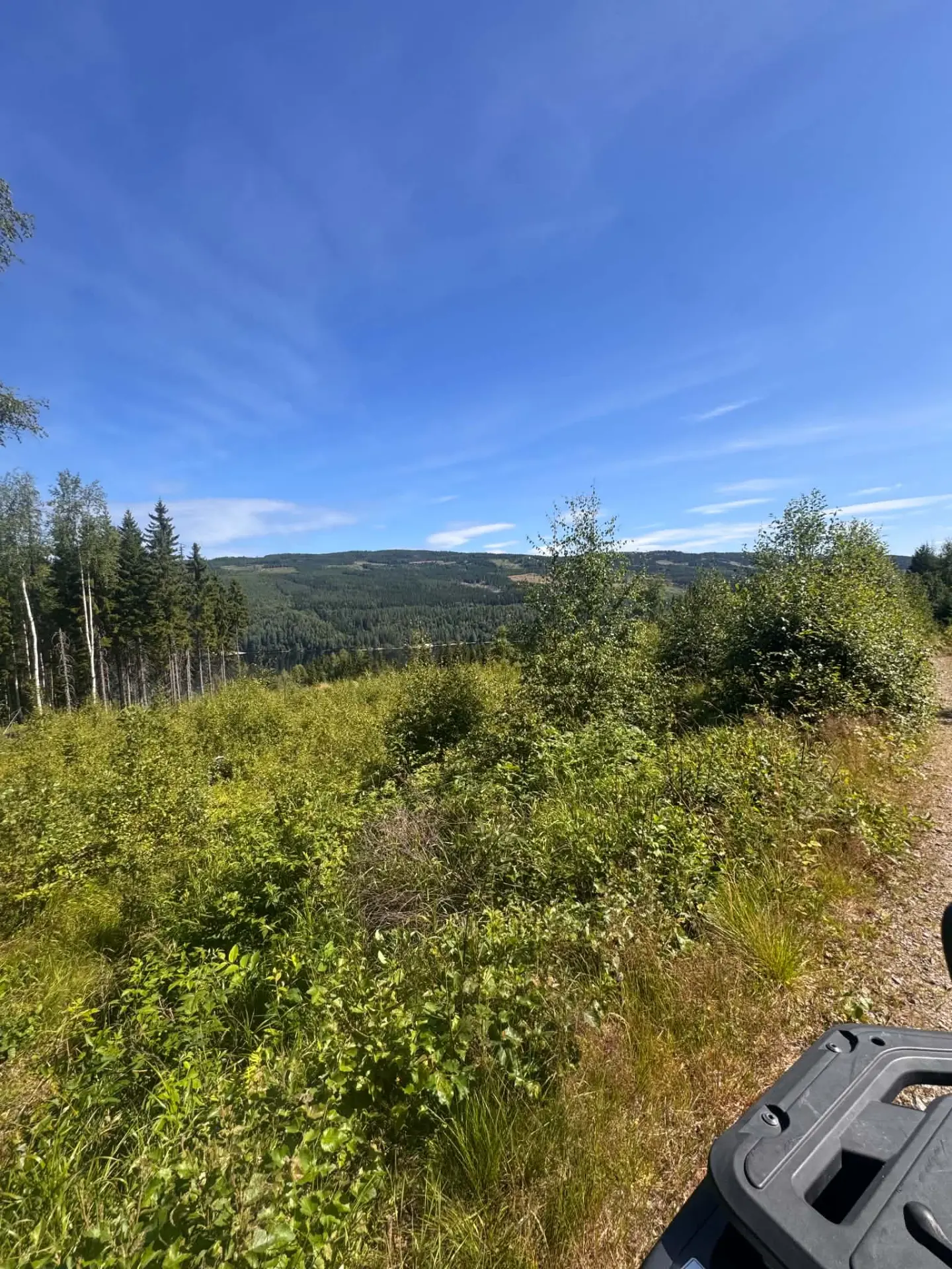 Utsikt över dalgången från skogsvägarna