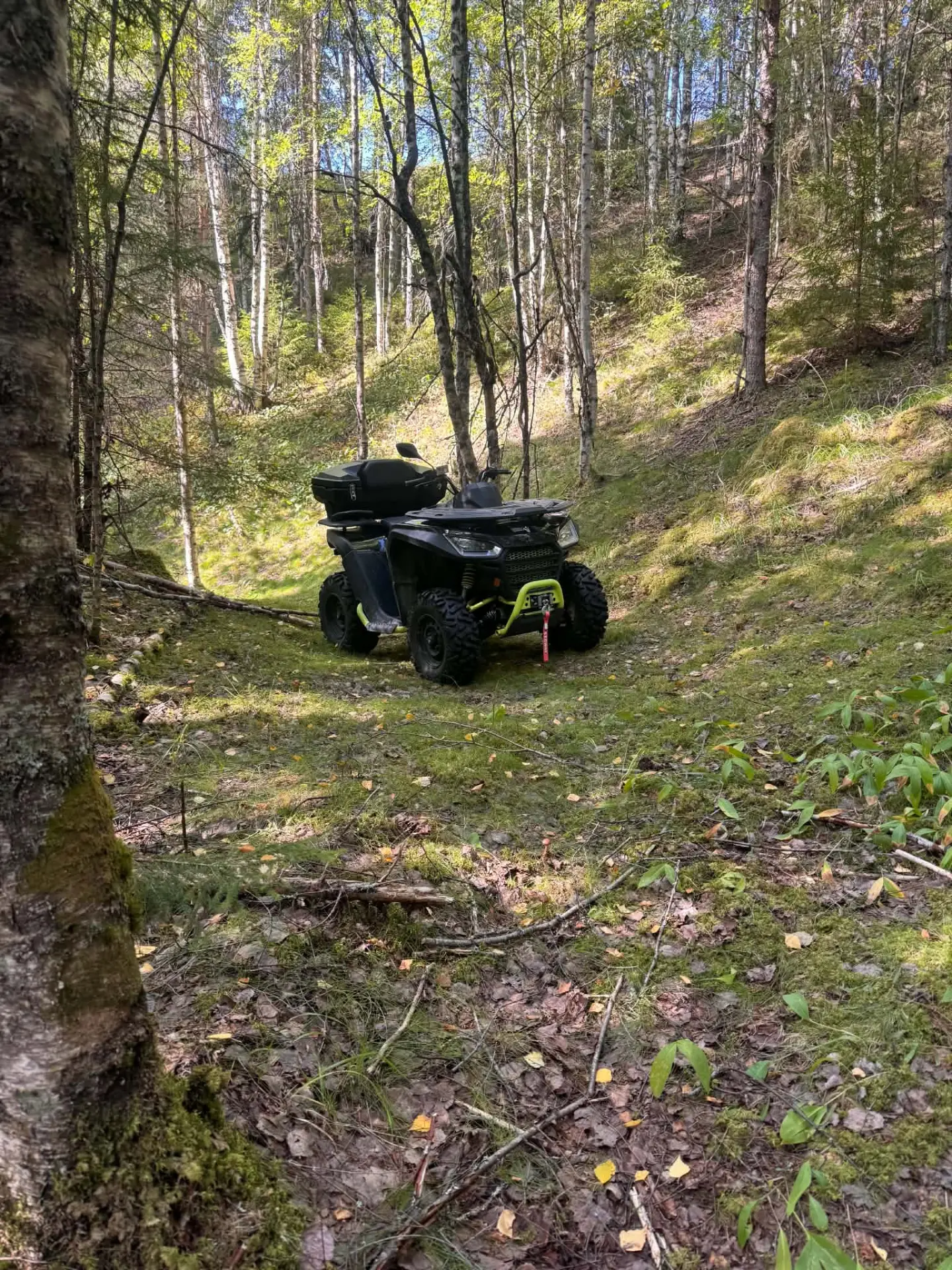 Skogsvägarna runt byn