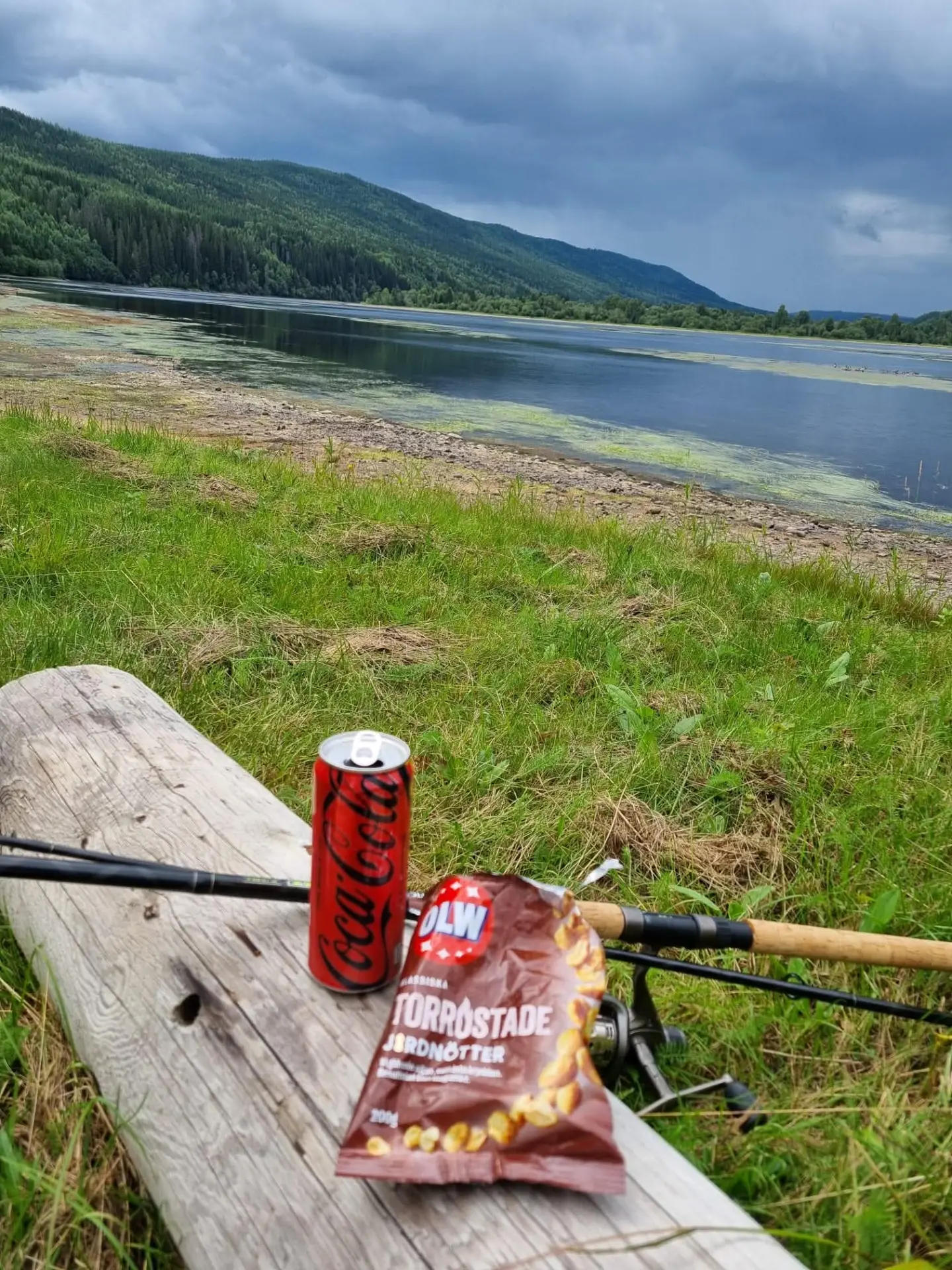 Fiskepaus vid älvkanten